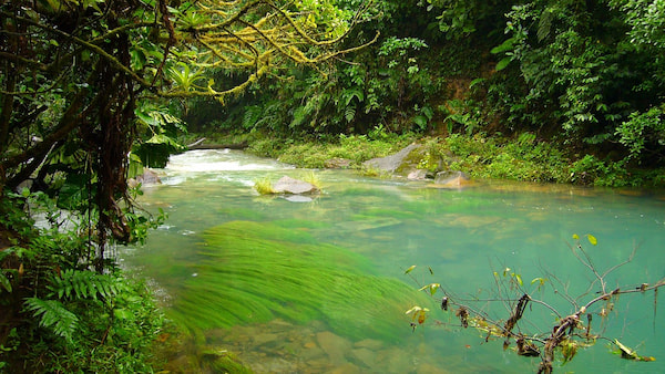 無料ウェビナーを開催します「CDP2025総括とCDP2026質問書の展望（水セキュリティ編）」